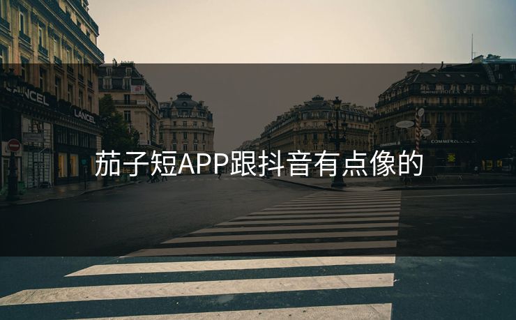 茄子短APP跟抖音有点像的
