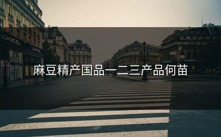 麻豆精产国品一二三产品何苗