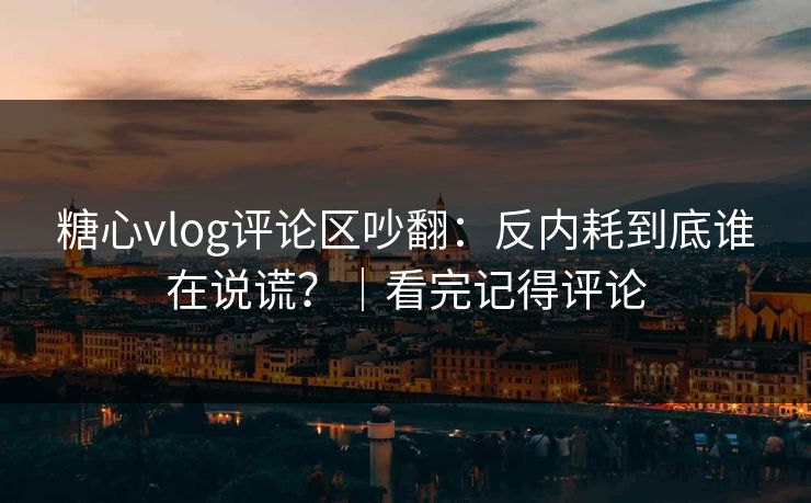 糖心vlog评论区吵翻：反内耗到底谁在说谎？｜看完记得评论
